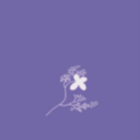 Animated purple logo for "Meditation on Cinema and Art" displaying the text in a light-colored cursive script with a subtle glowing aura, accompanied by a small floral graphic at the bottom.